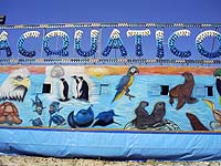 Цирк Акватико Circo Acquatico