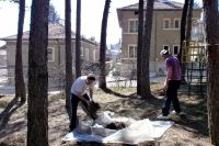 Ден на доброволчеството в ЦДГ Радост