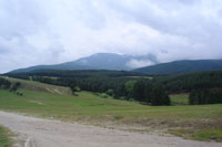Гора при местност Гергевана