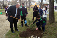 Лебанов засажда дръвче