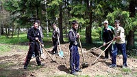 Час по практига ПГГС