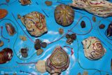 DSC07732