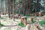 manastir-sveti-ilia-punove