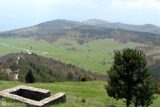 cepina-peizazh-lqto