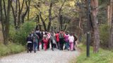 den-intenzivno-hodene-uchenici