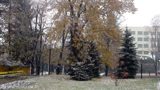 purvi-snqg-velingrad-centar
