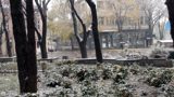 purvi-snqg-zasnezhen-velingrad