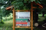 DSC07539