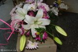 DSC06825