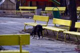 DSC01608