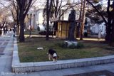 DSC01699