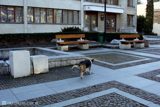 DSC01700